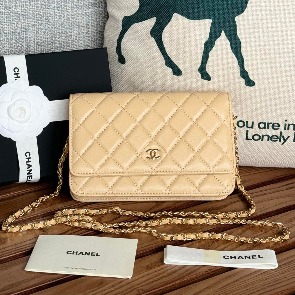 Chanel WOC Entrupy 19 Bag in Dark Cream Calfskin